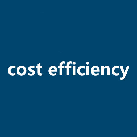 cost efficiency